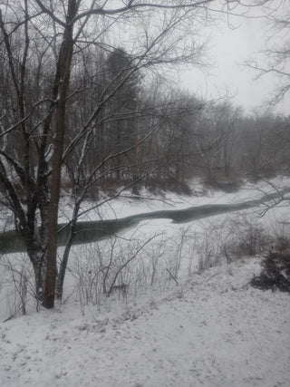 Let it Snow!