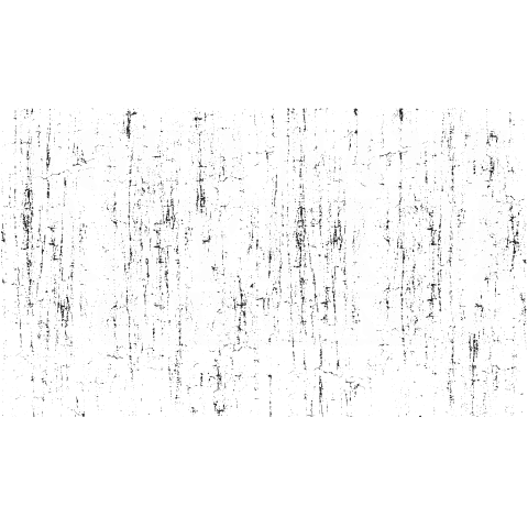 Asylum Warden