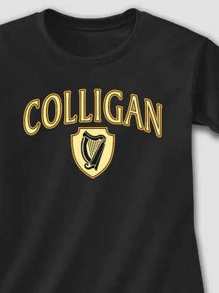 Irish Harp : Adult Ladies Fitted T-Shirt