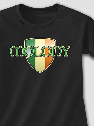 Irish Shield : Adult Ladies Fitted T-Shirt