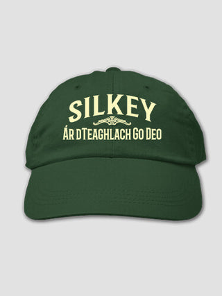 Family Forever : Embroidered Baseball Hats