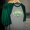Mighty Sports Grey/Dark Green Adult Raglan 3/4 Sleeve T-Shirt ALT1 Thumbnail