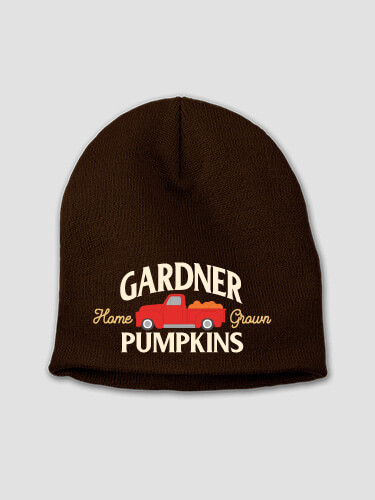 Pumpkins Brown Embroidered Beanie