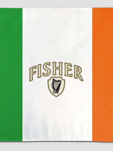 Irish Harp NA Irish Flag