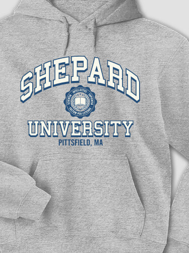 Vintage University Sports Grey Adult Hooded Sweatshirt