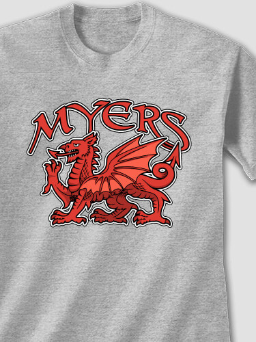 Welsh Dragon Sports Grey Adult T-Shirt