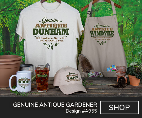 A955 | Genuine Antique Gardener - Genuine Antique Your Name, Old Gardeners Never Die, They Just Go To Seed, above a vine and leaves on a natural tee, tan apron, stone baseball hat, ceramic mug, and a color printed pint glass. 