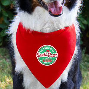 New Dog Bandanas!
